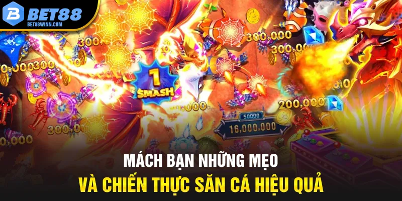 Mách bạn những mẹo và chiến thực săn cá hiệu quả