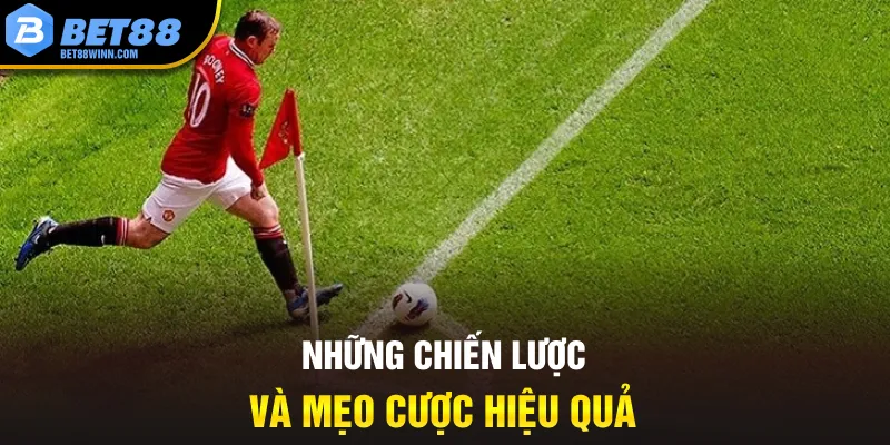 Những chiến lược và mẹo cược hiệu quả
