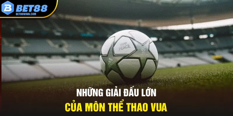 Những giải đấu lớn của môn thể thao vua